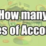 How Many Branches of Accounting