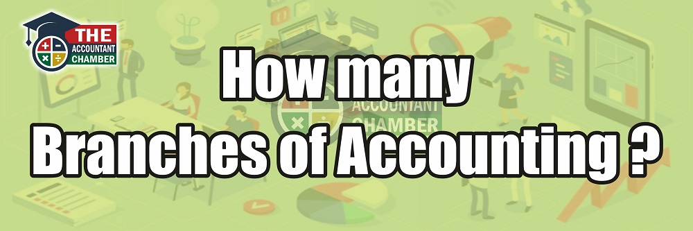 How Many Branches of Accounting