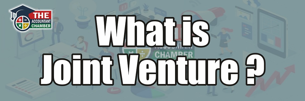 What is Joint Venture