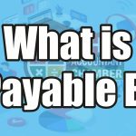 What is Bills Payable Book