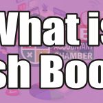 What is Cash Book