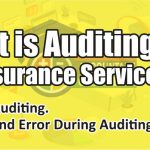 Auditing and Assurance Services