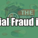 Financial fraud in India