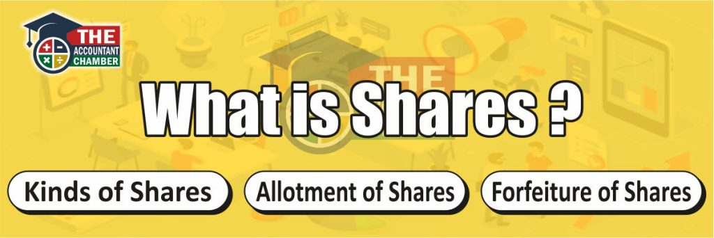 What is shares?