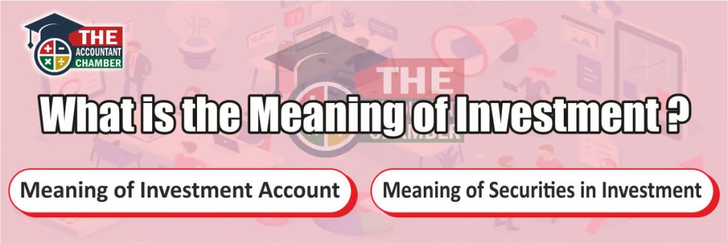 What is the Meaning of Investment